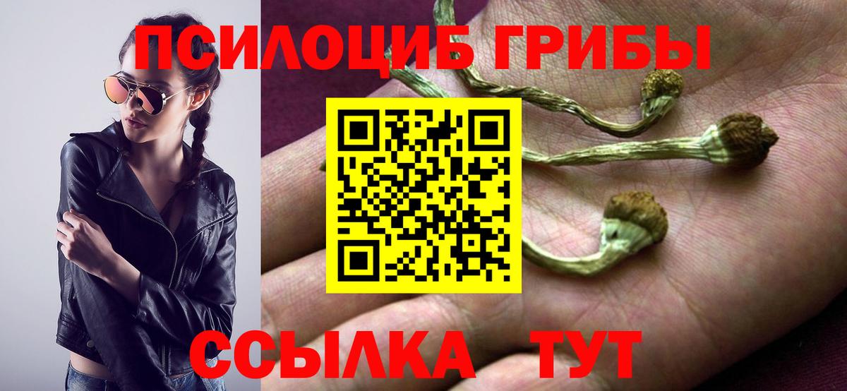 Псилоцибиновые грибы Magic Shrooms Каменка